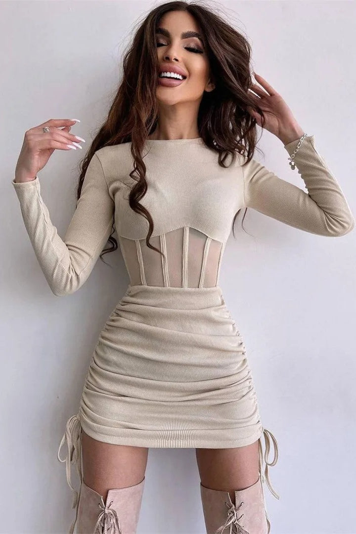 Sheer Mesh Bodycon Mini Dress